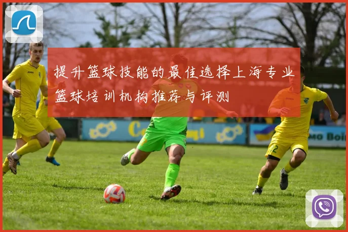 提升篮球技能的最佳选择上海专业篮球培训机构推荐与评测
