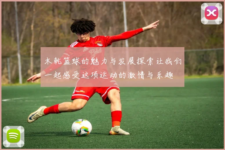 木乾篮球的魅力与发展探索让我们一起感受这项运动的激情与乐趣